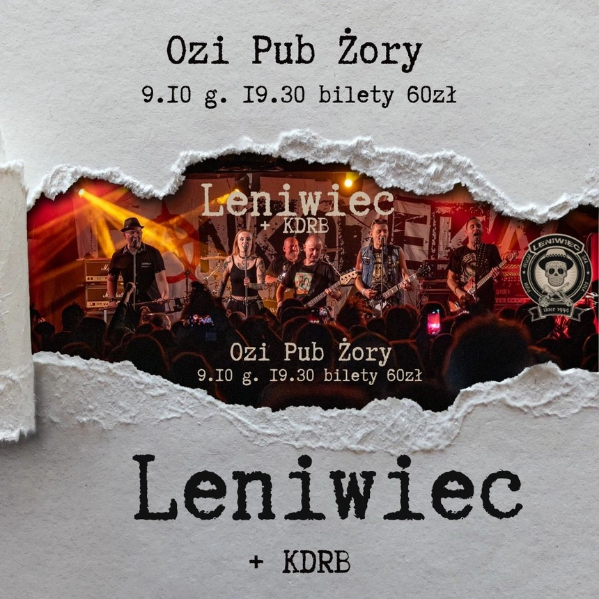 Leniwiec koncert w Żorach