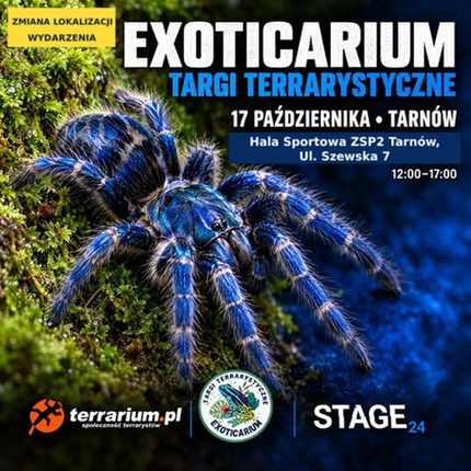 Exoticarium | TARNÓW | Wystawa pająków