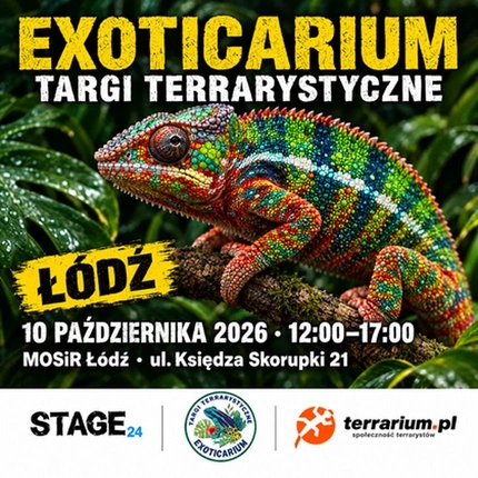 Exoticarium | ŁÓDŹ | Wystawa pająków