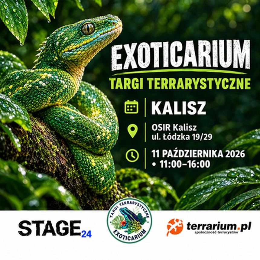 Exoticarium | KALISZ | Wystawa pająków